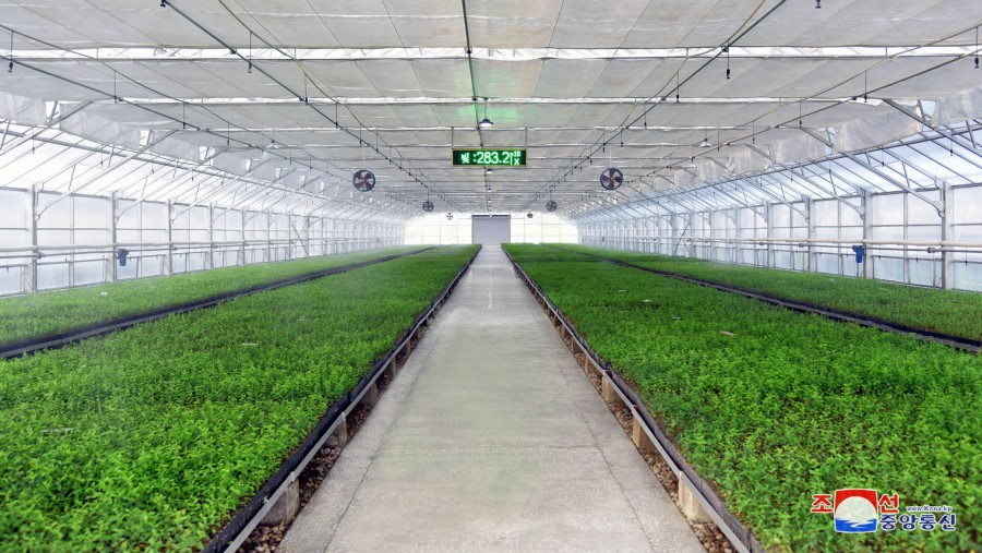 2-평안북도양묘장이 새로 건설